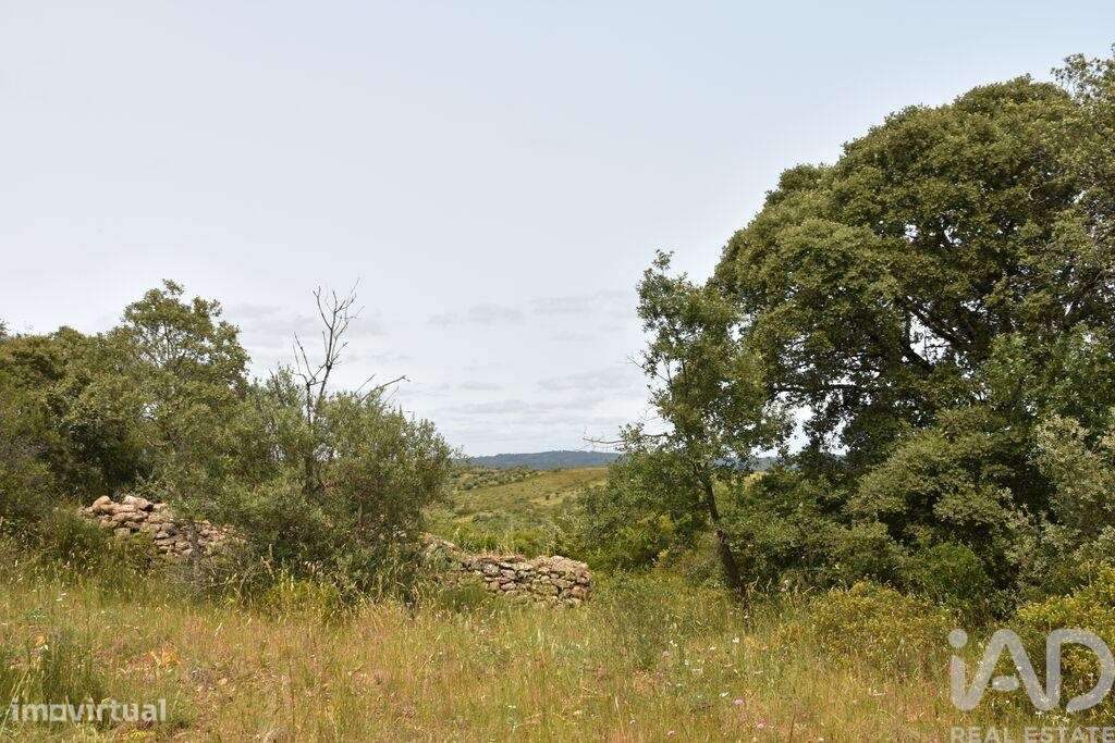 Terreno em Chãos de 4800,00 m2 - Grande imagem: 5/30