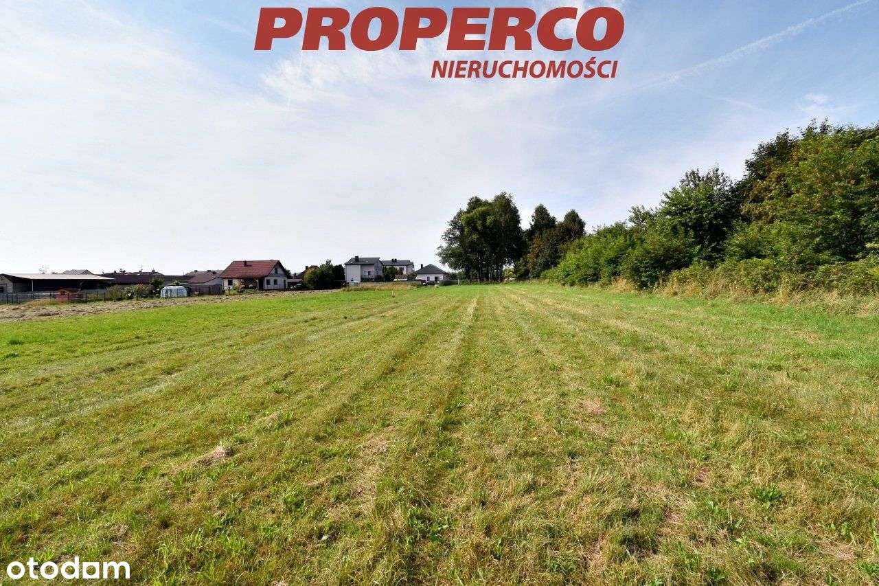 Działka pod Kielcami z Mpzp, 9051 m2, Radlin,Górno - Pełny obrazek: 4/6