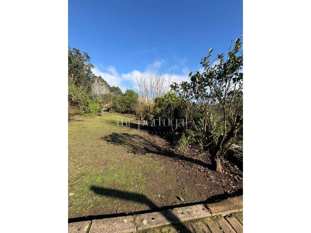 Quintinha em Mafra com 5.375m² | Moradia T2 + Potencial de Construç...-15