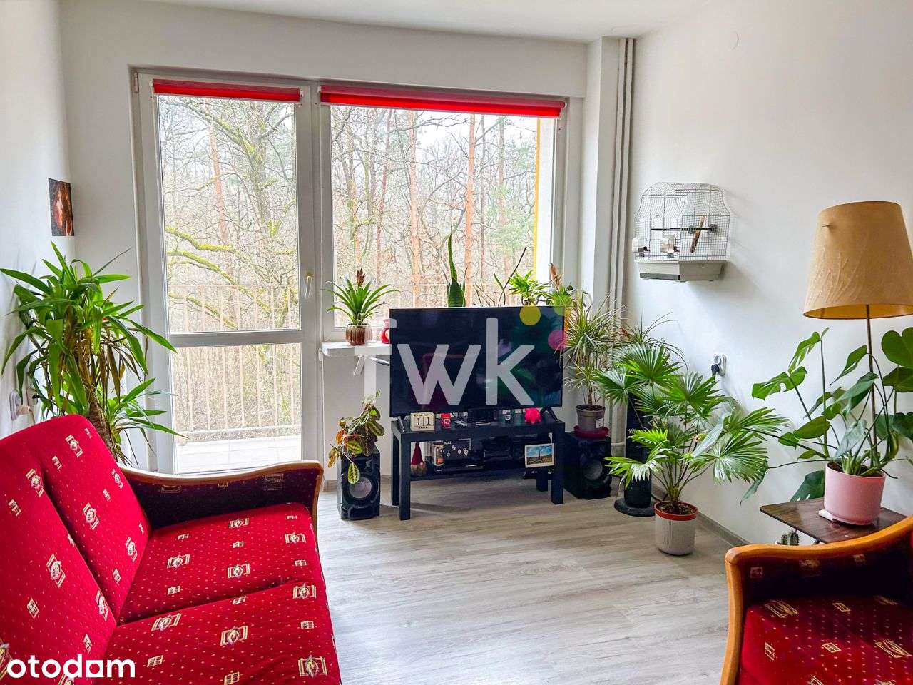 Z widokiem na las dwu pokojowe z balkonem - Pełny obrazek: 5/15