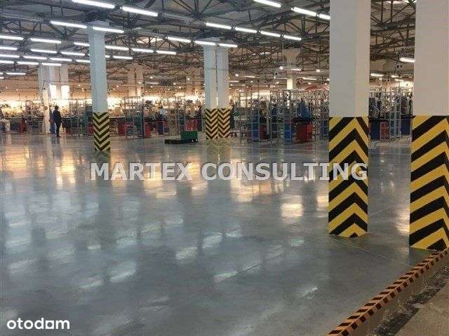 Hala/Magazyn, 2 432 m², Wodzisław Śląski - Pełny obrazek: 4/9