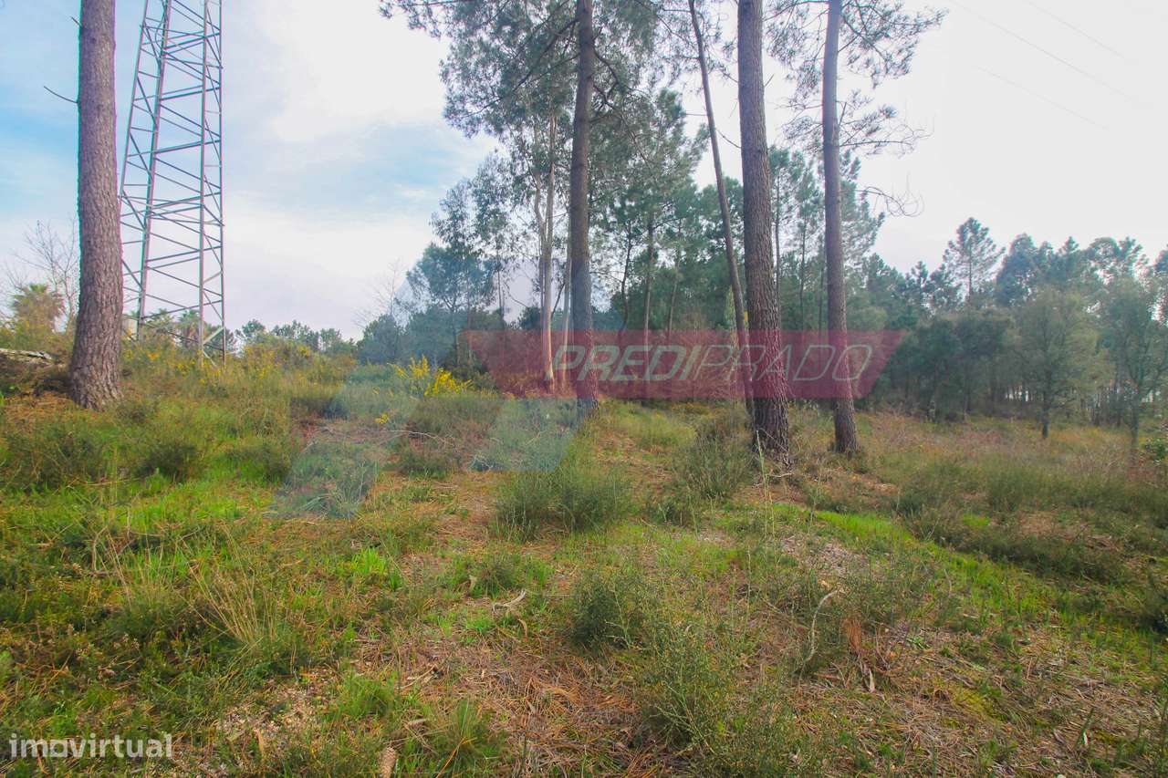 Terreno Industrial na Ucha-5