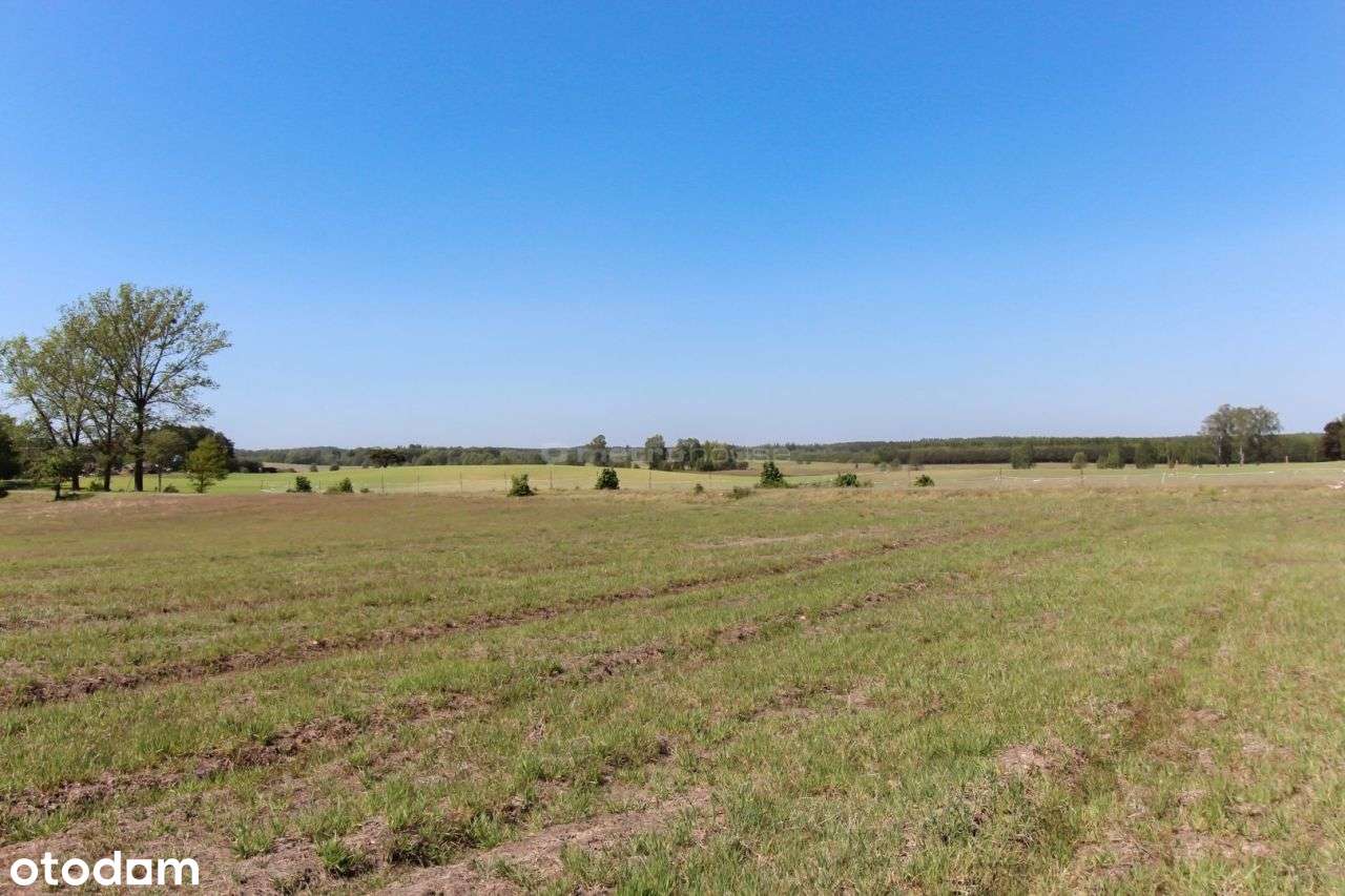 Na sprzedaż działka budowlana w miejscowości Spore - Pełny obrazek: 4/7