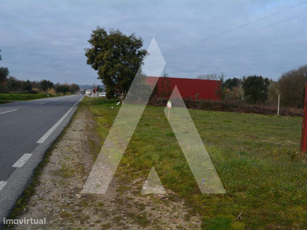 Terreno Rústico em Anadia - Grande imagem: 2/14