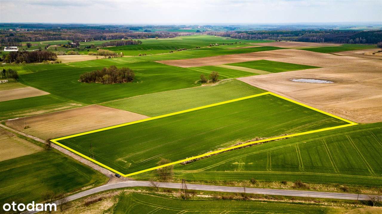 3 HA zabudowa mieszkaniowa | Jaszów | NOWA CENA - Pełny obrazek: 2/10