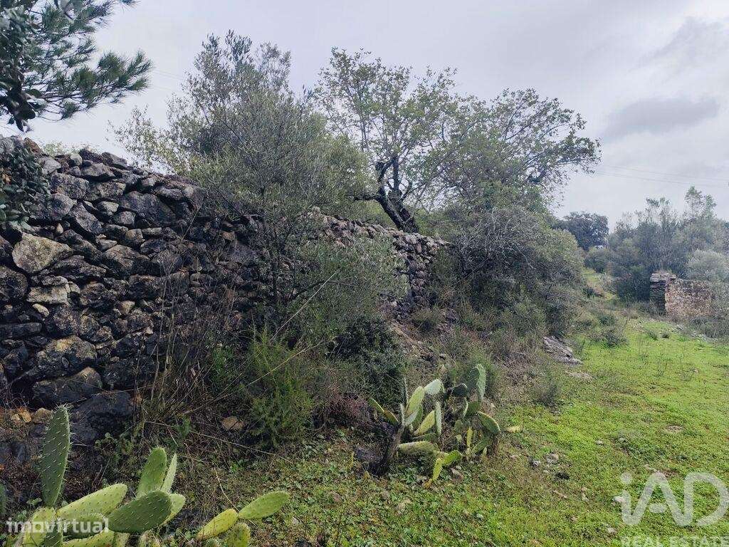 Terreno em São Brás de Alportel - Grande imagem: 3/7