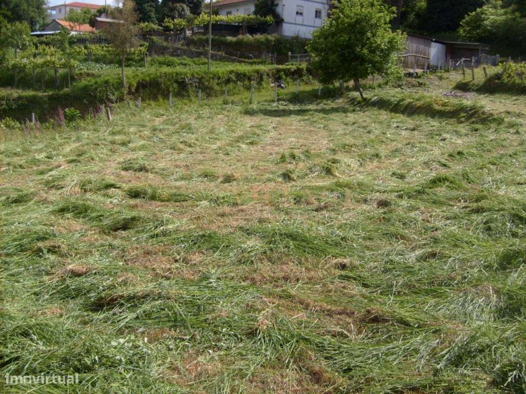 Terreno - Grande imagem: 2/3
