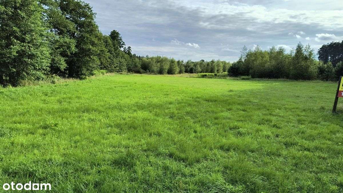 Działka budowlana (2 149mkw.) Glinno - Pełny obrazek: 5/6