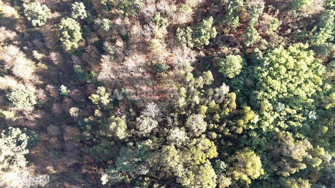 Terreno Rústico / Baião, Teixeira e Teixeiró-0