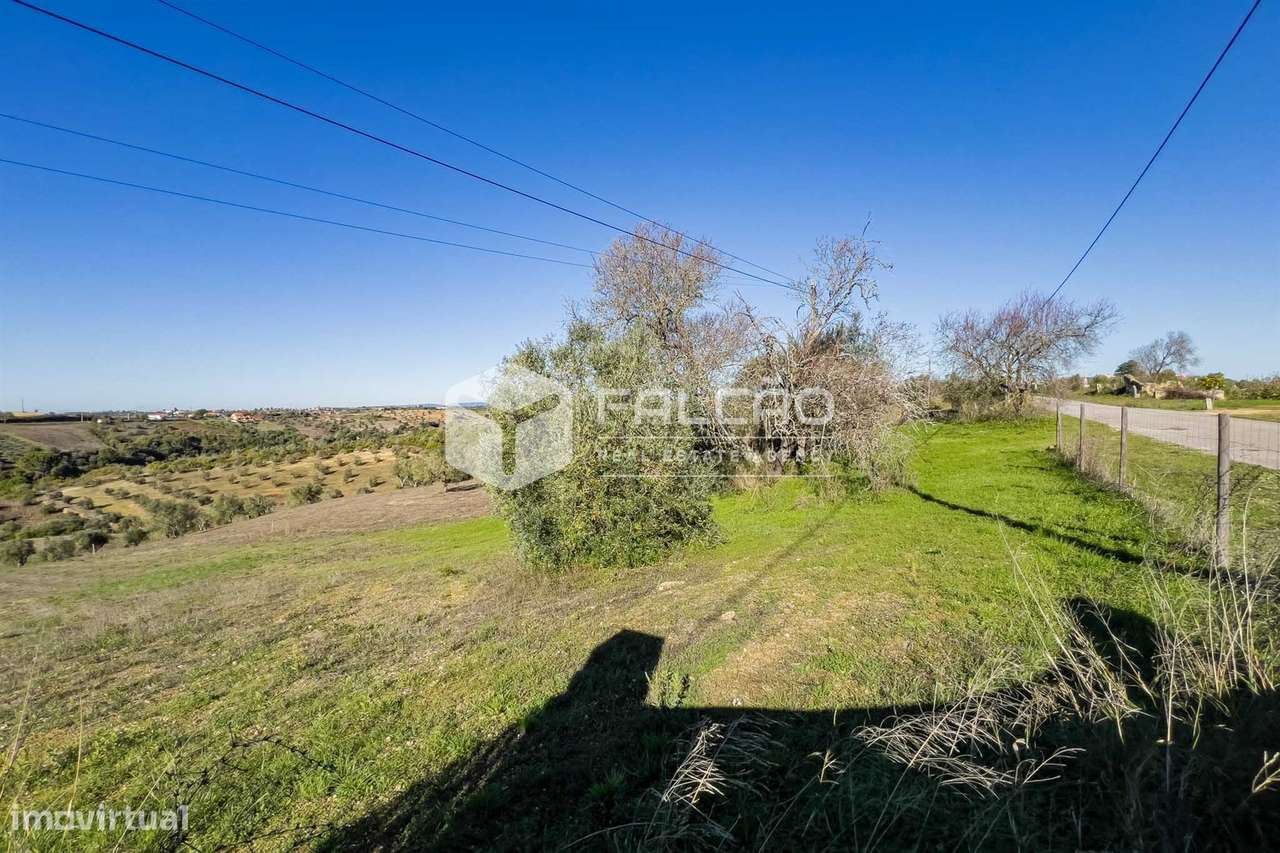 Terreno Para Construção  Venda em Moçarria,Santarém-32