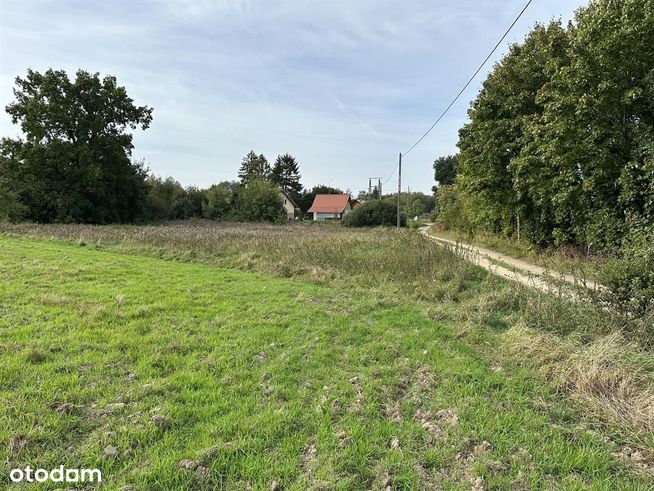 Działka budowlana o pow. 2412 m2, Nowy Chwalim-19