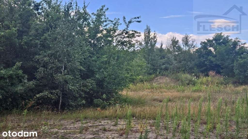 Działka w Ruścu blisko lasu - Pełny obrazek: 4/4