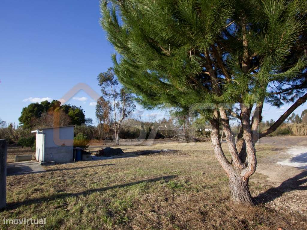 Terreno Rústico - Grande imagem: 5/12