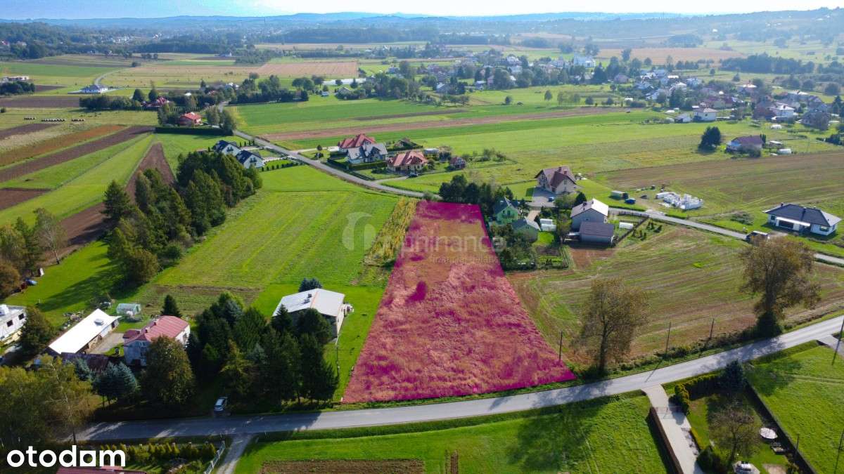 484972 - Pełny obrazek: 4/12