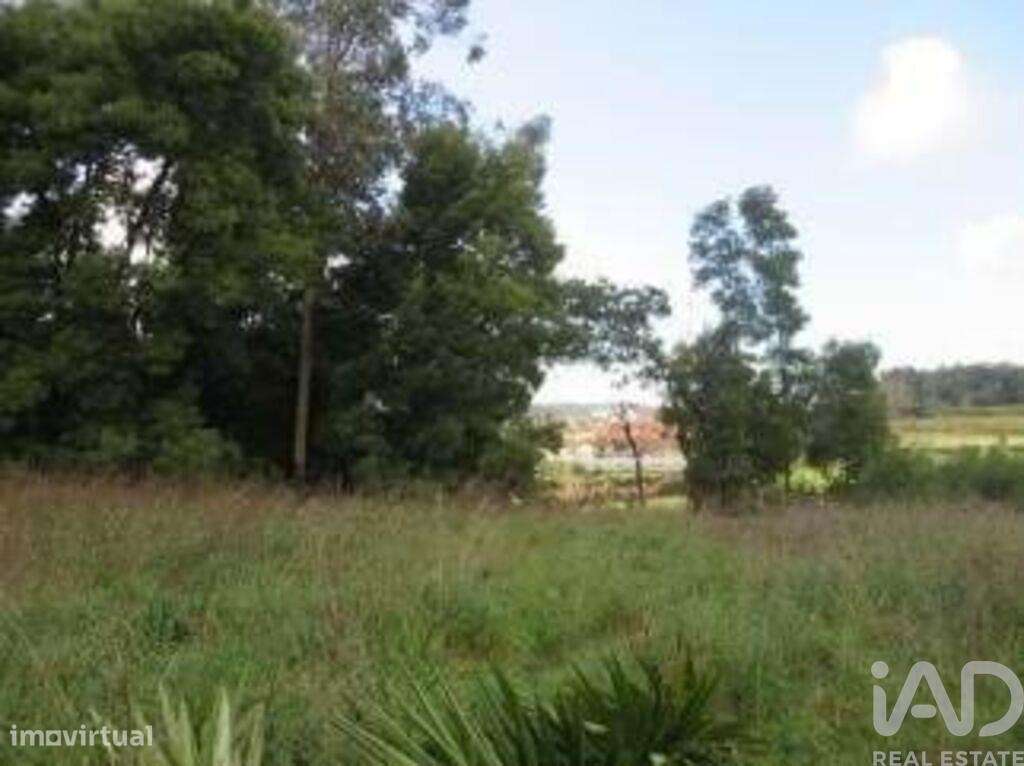 Terreno em Gondomar (São Cosme), Valbom e Jovim de 2200,00 m2 - Grande imagem: 4/6