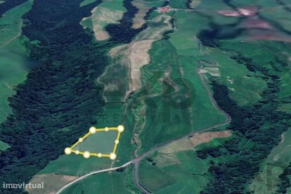 Terreno Agrícola para Venda – Lenho da Achada, Nordeste - Grande imagem: 4/9
