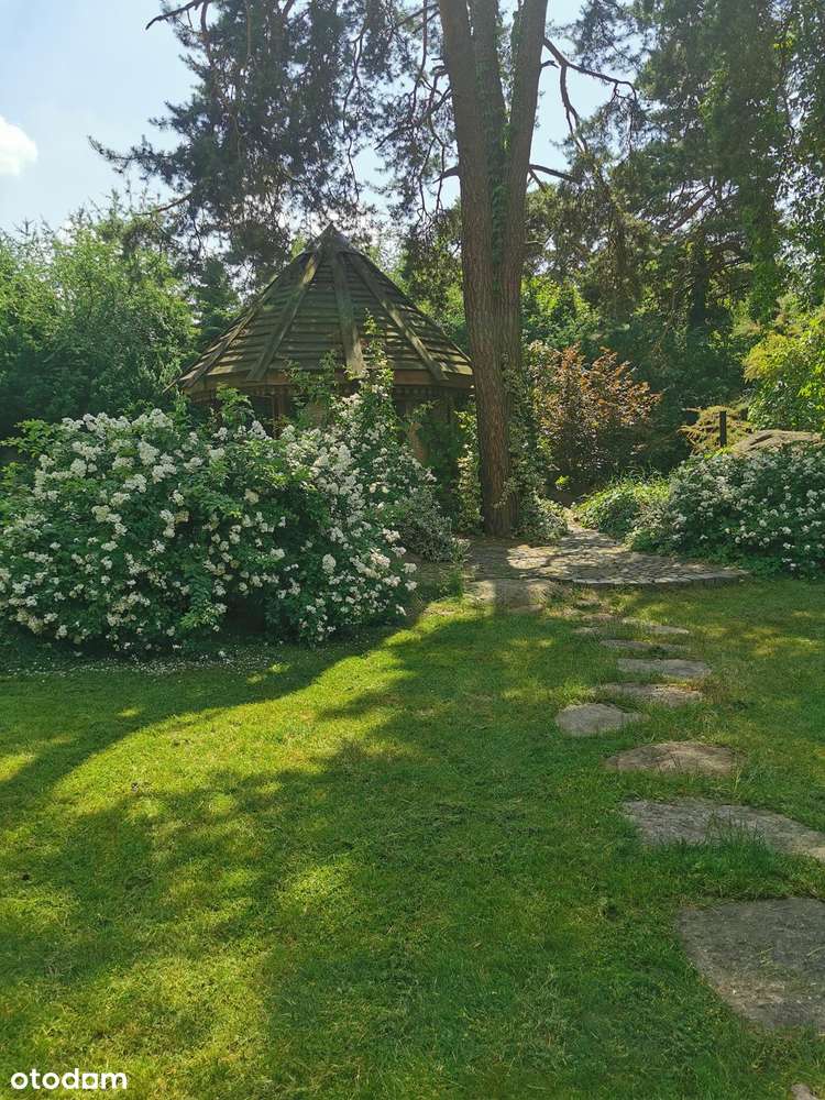 Działka budowlana w Józefowie ul. Wąska-3