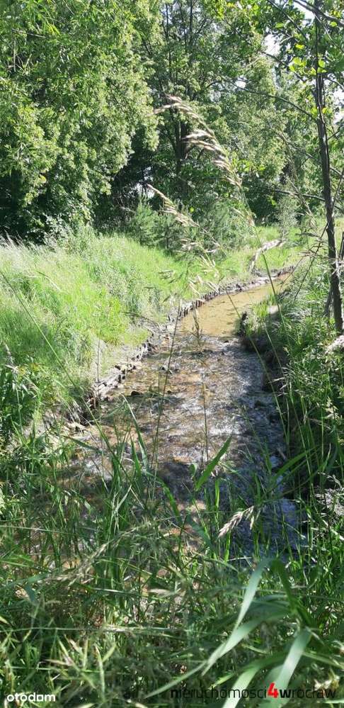 7 działek*Potok*Budowlane /Usługi*Media-3