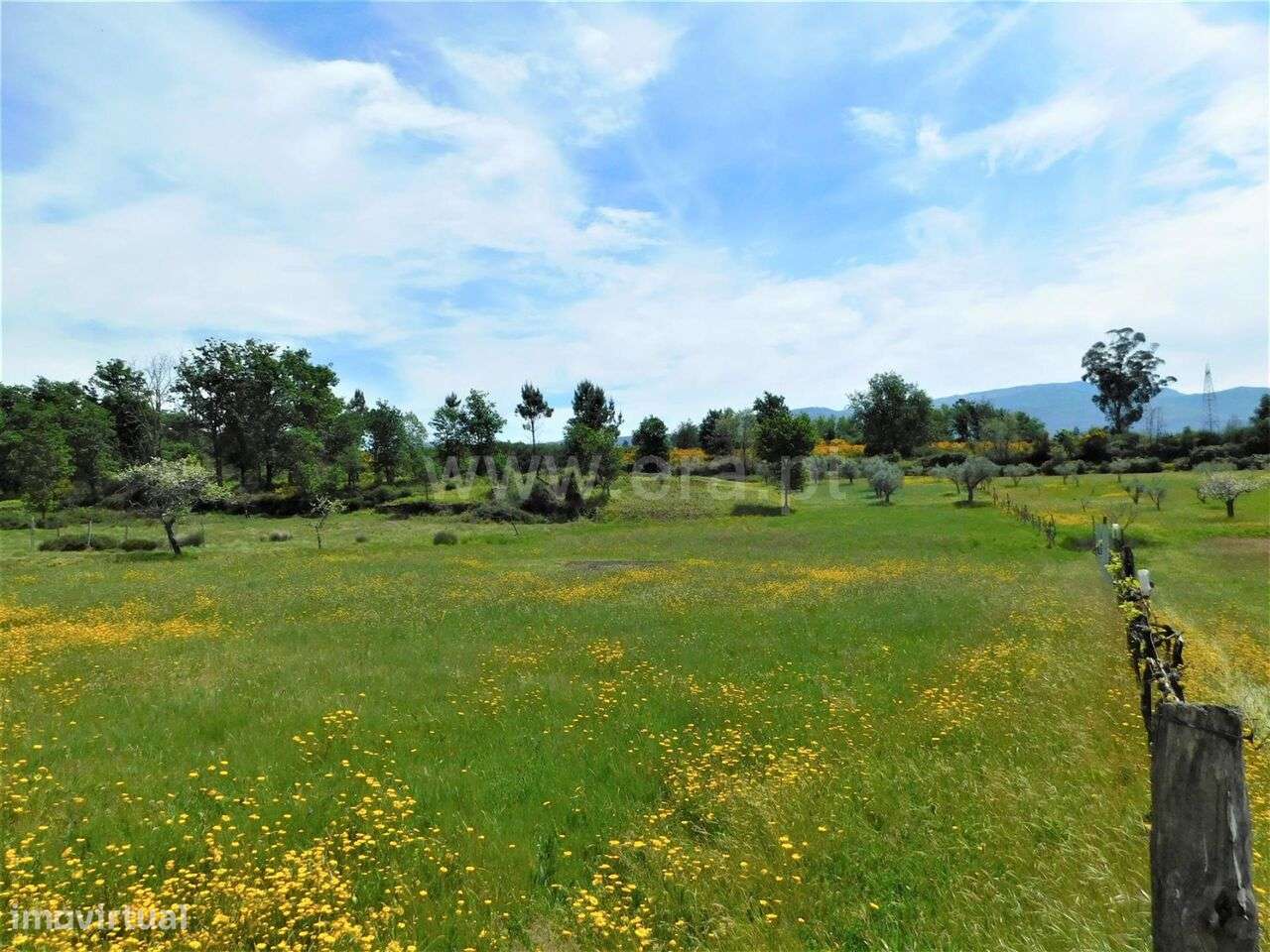 Terreno / Seia, Sameice e Santa Eulália - Grande imagem: 4/15