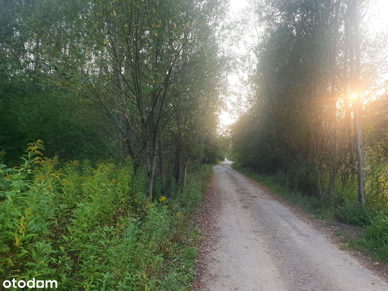 Otwock. Las, spokój, cisza. Wydane WZ. Wszystkie media. Nowe domy-0