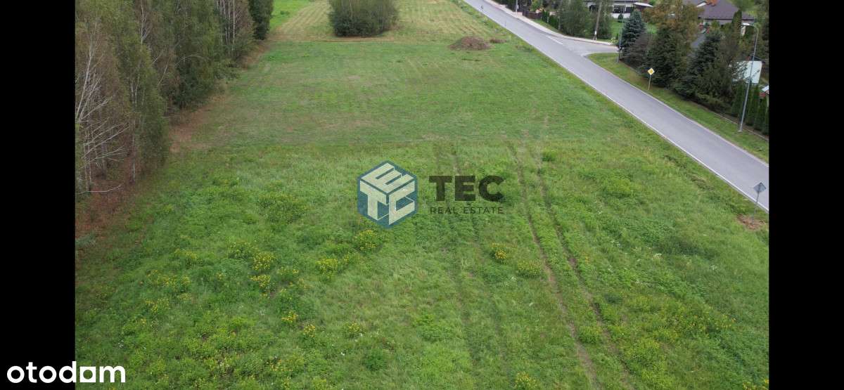 zamiana | cena | las | inwestycja - Pełny obrazek: 5/17