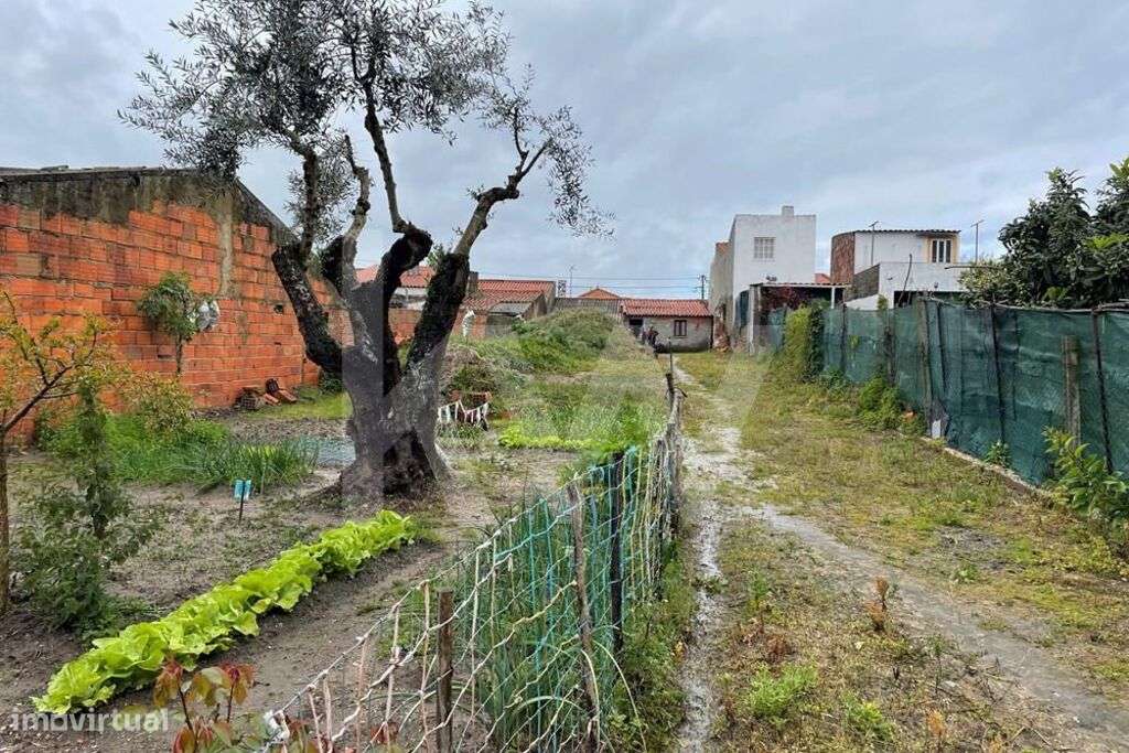 Casa c/ terreno de 561,75 m2 c/ viabilidade de construção de moradias - Grande imagem: 4/5