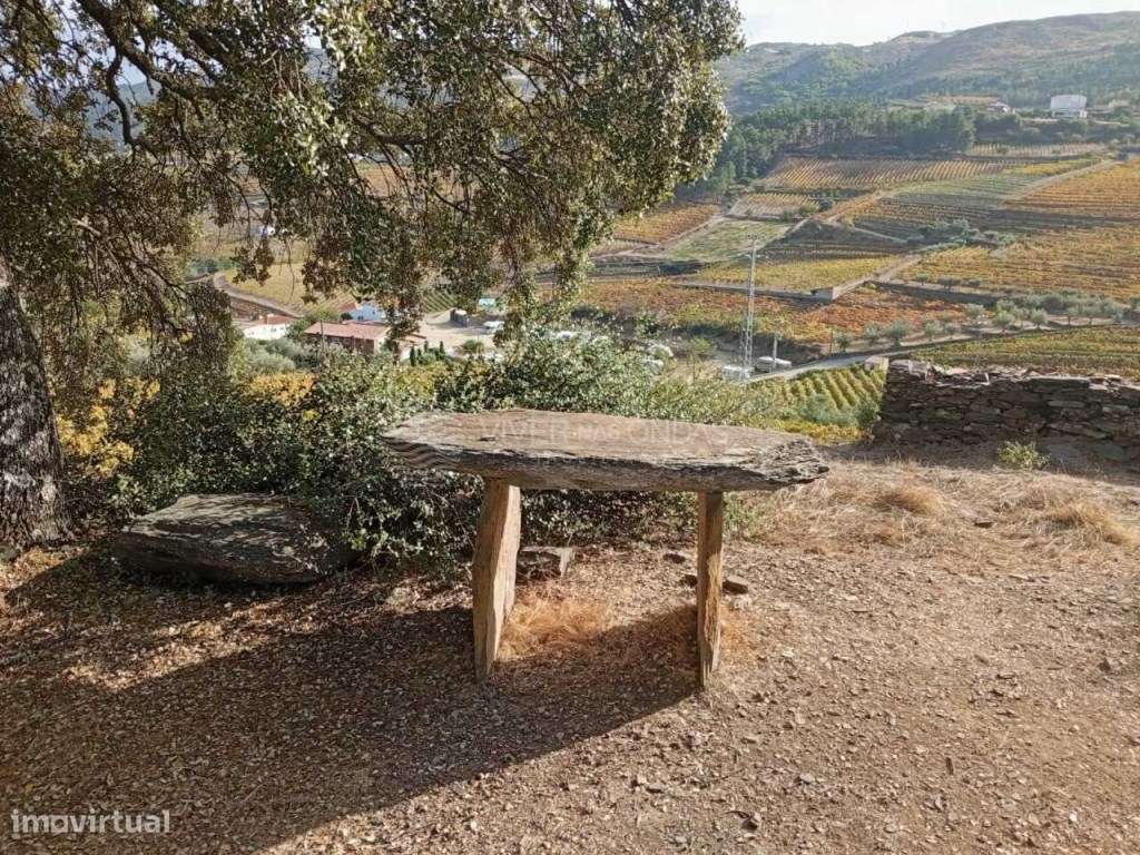 Quinta situada na pitoresca aldeia de Barcos. - Grande imagem: 2/31