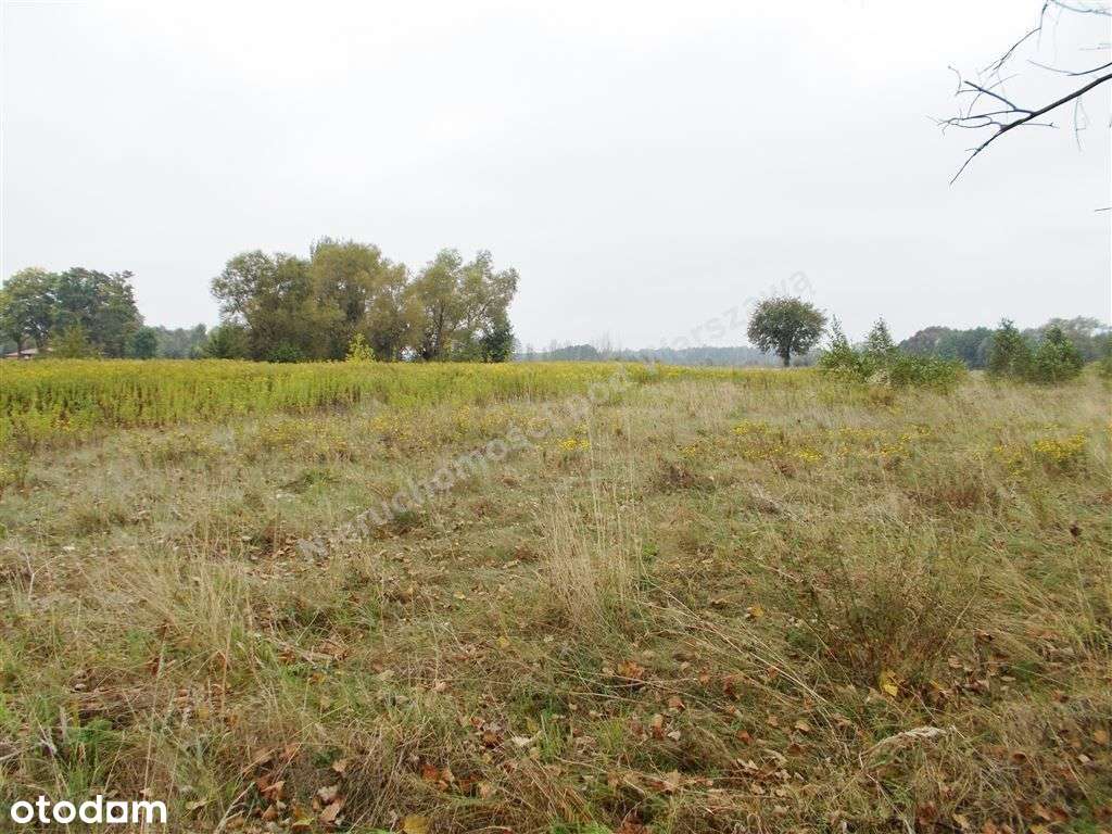 Działka Budowlana Z Warunkami Zabudowy.-3