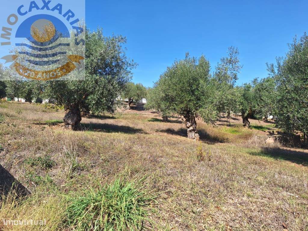 Terreno com viabilidade de construção. - Grande imagem: 3/8