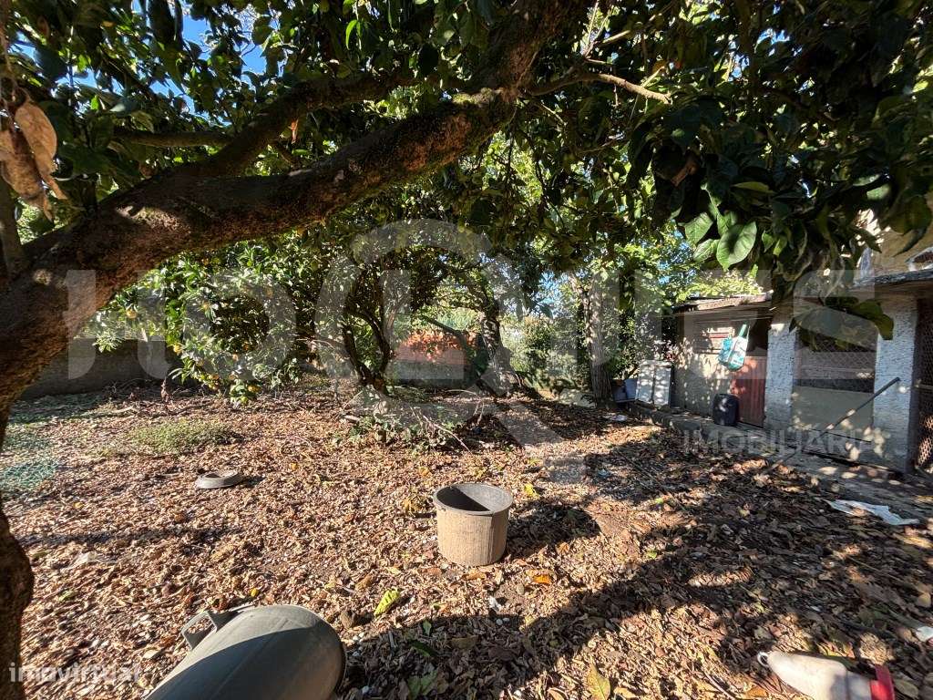 Moradia | Para recuperar | Habitação + Terreno | Oportunidade-11