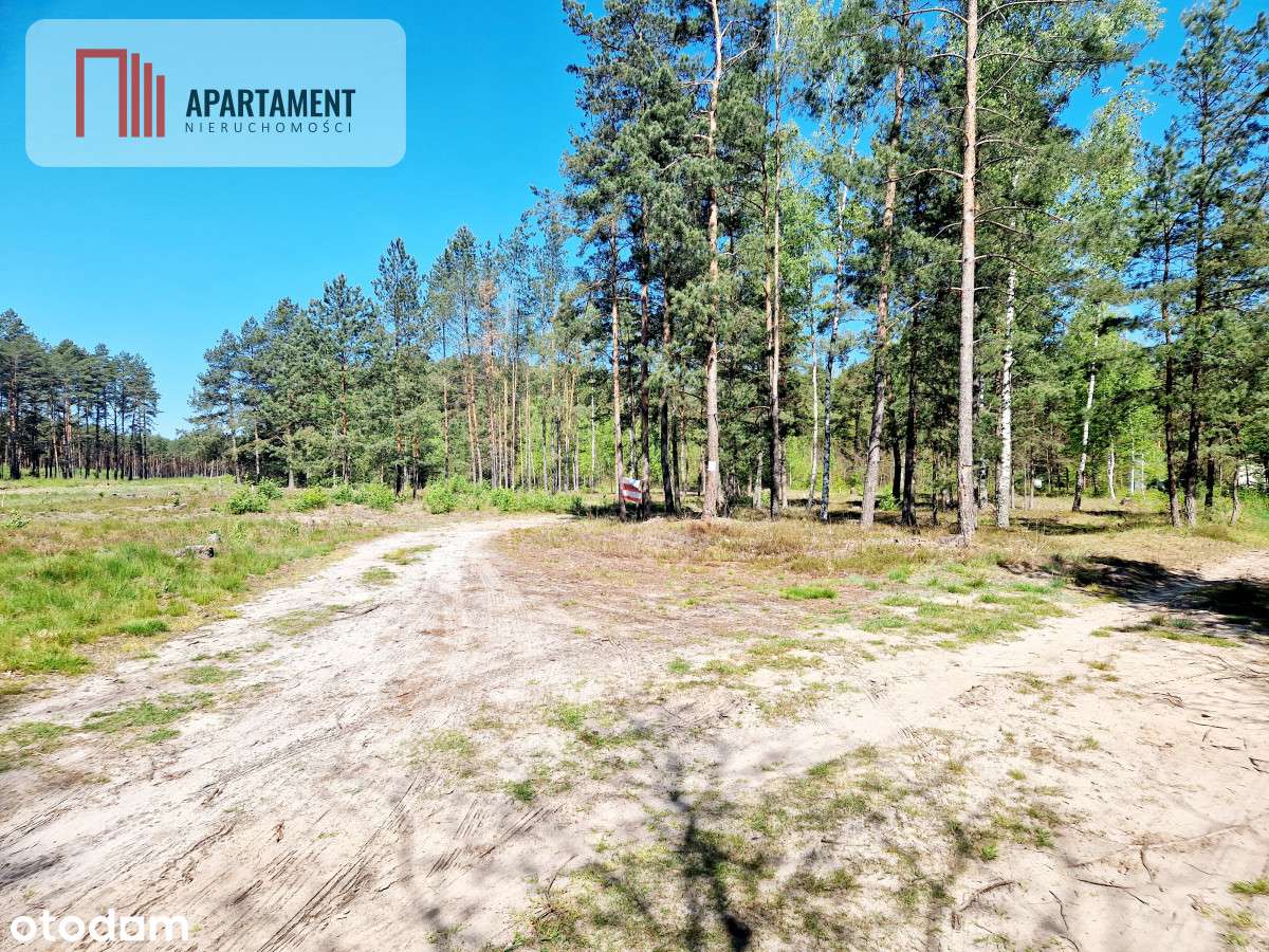 Działka budowlana otoczona lasem. Tylko u nas !!! - Pełny obrazek: 5/7
