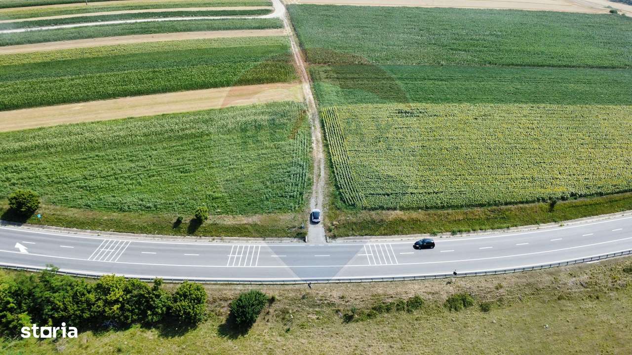 Teren 3,500mp Ilisesti / Strada Principala - Imagine principală: 5/15