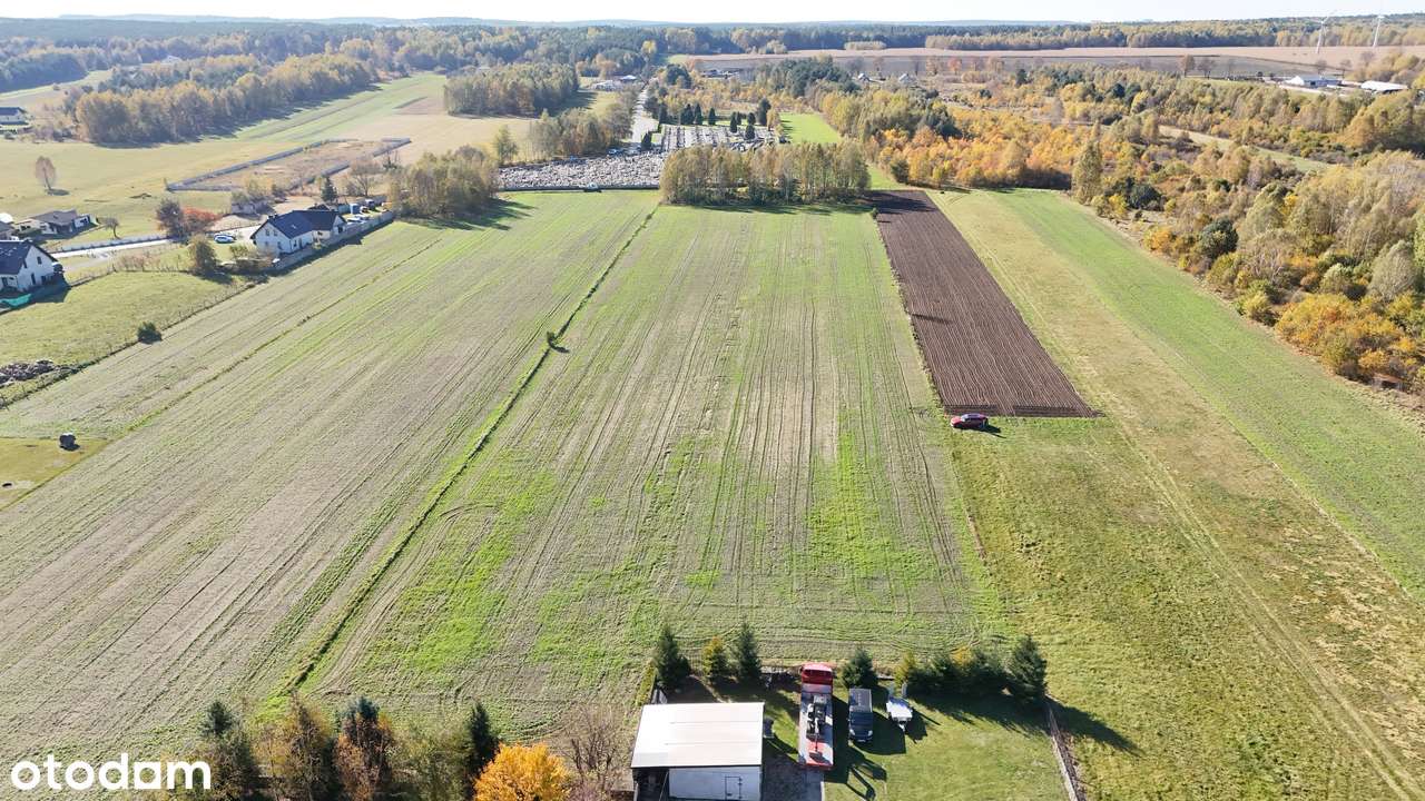 Miedzierza , działka budowlana , rekreacja - Pełny obrazek: 5/10