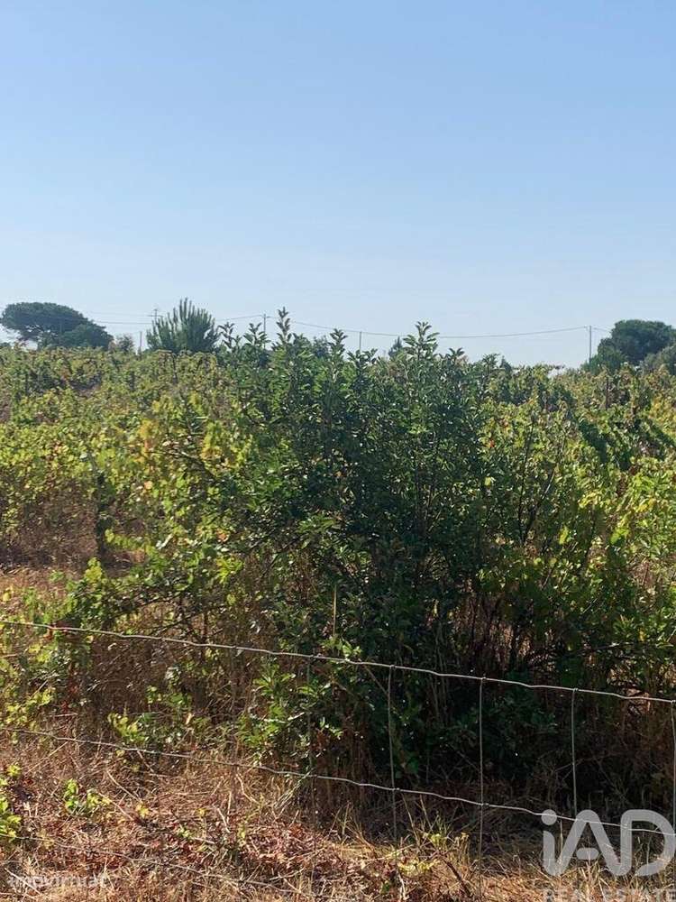 Terreno em Poceirão e Marateca de 1061,00 m2 - Grande imagem: 5/30