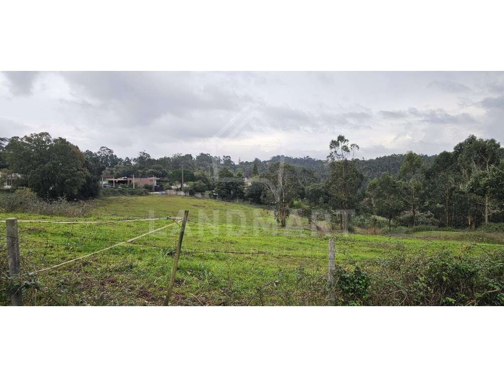 Terreno com projeto aprovado - Centro da Benedita - Grande imagem: 4/4