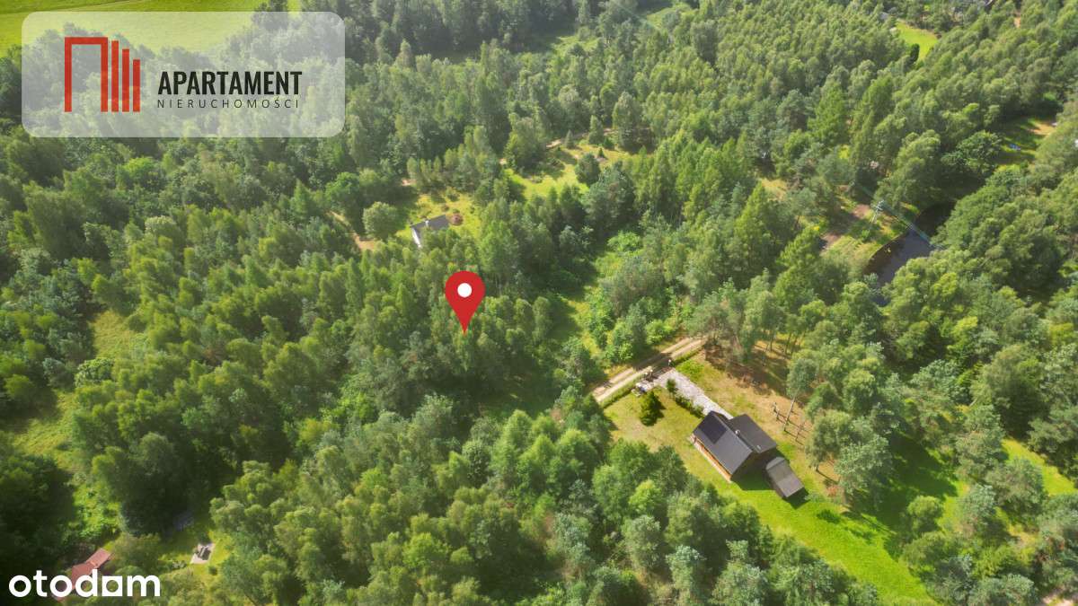 Tylko u nas! Działka blisko natury w Borku - Pełny obrazek: 5/8