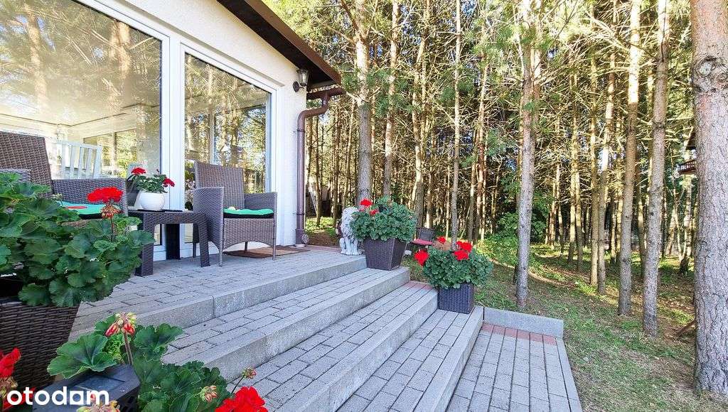 Dom całoroczny z dużą działką - 3 838 m2-3