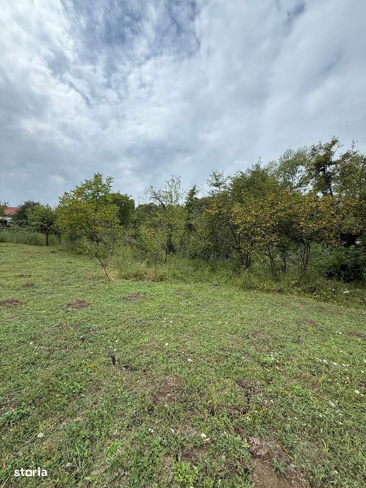 Poiana Câmpina - teren intravilan 3429mp - 50000 Euro - Imagine principală: 4/5