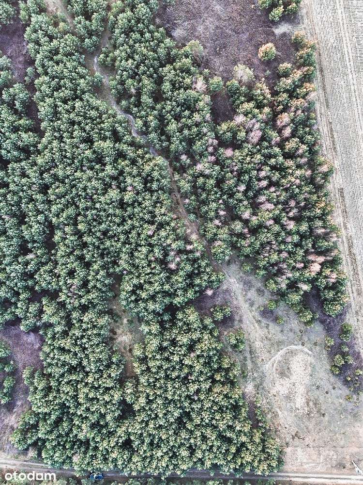 Gdzie horyzont nie ma granic-16