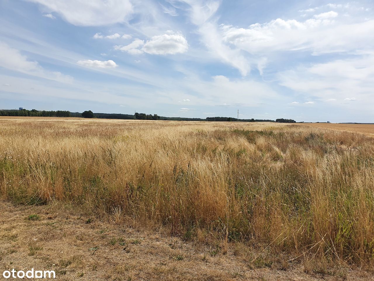 Działka rolno-budowlana Łagoszów Wielki 5,68 ha