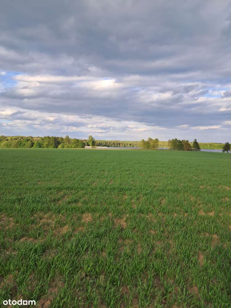 Działki na sprzedaż z warunkami zabudowy z dostępem do jeziora. - Pełny obrazek: 3/12