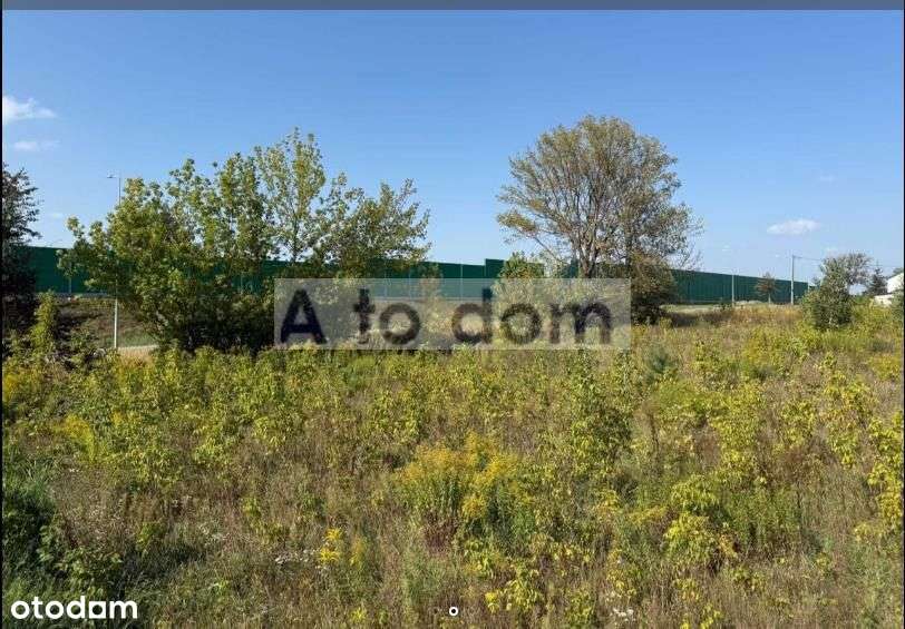 Przy Trasie S-7 Warszawa -Gdańsk-2