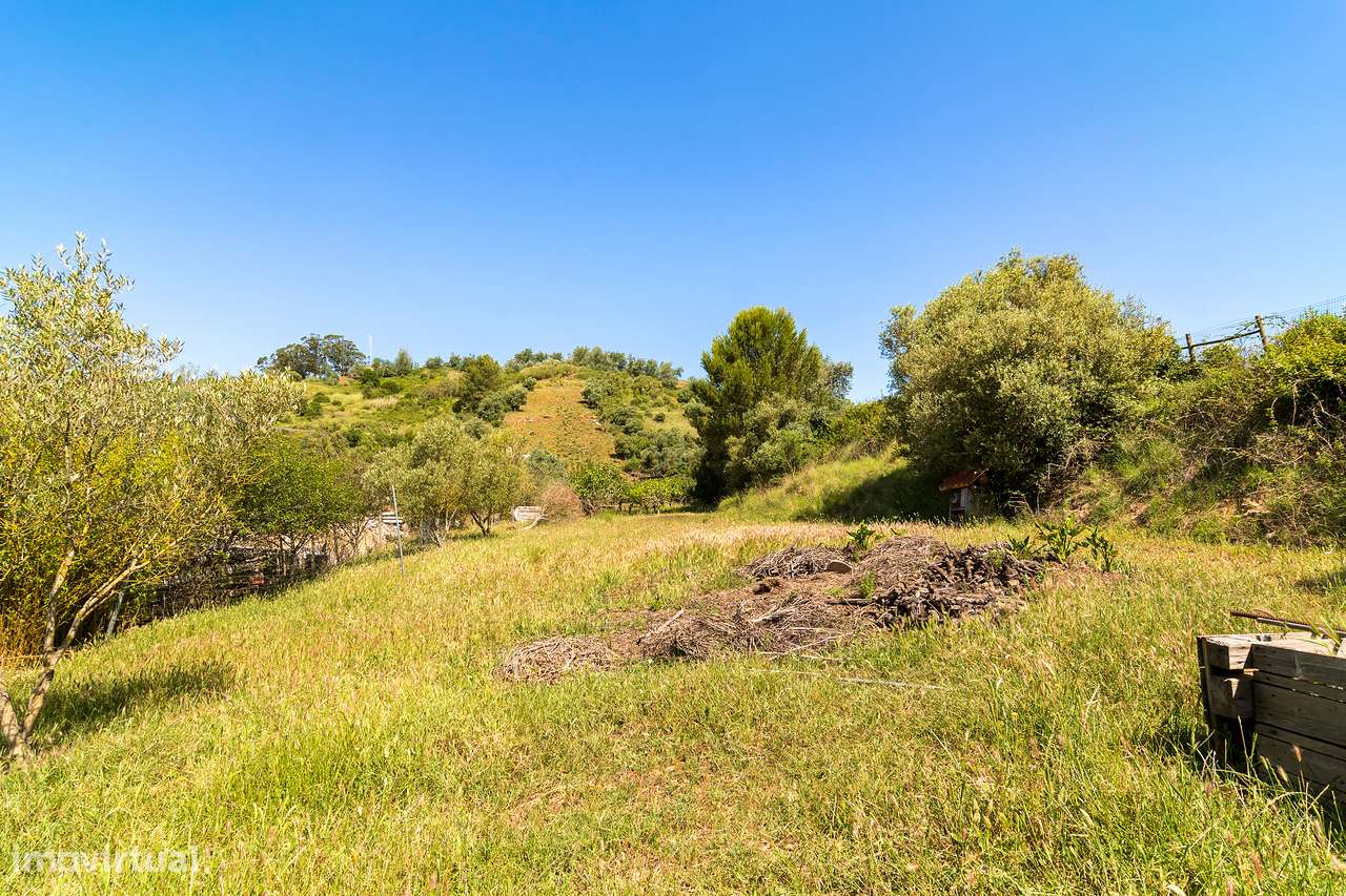Moradia com terreno e árvores de fruto a 40mn de Lisboa-46