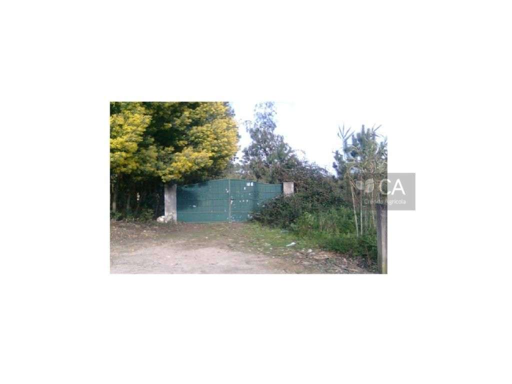 Excelente Terreno Rústico com possibilidade de construção industrial - Grande imagem: 1/2