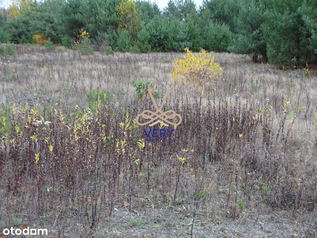 Działka budowlana - gmina Wieliszew-4