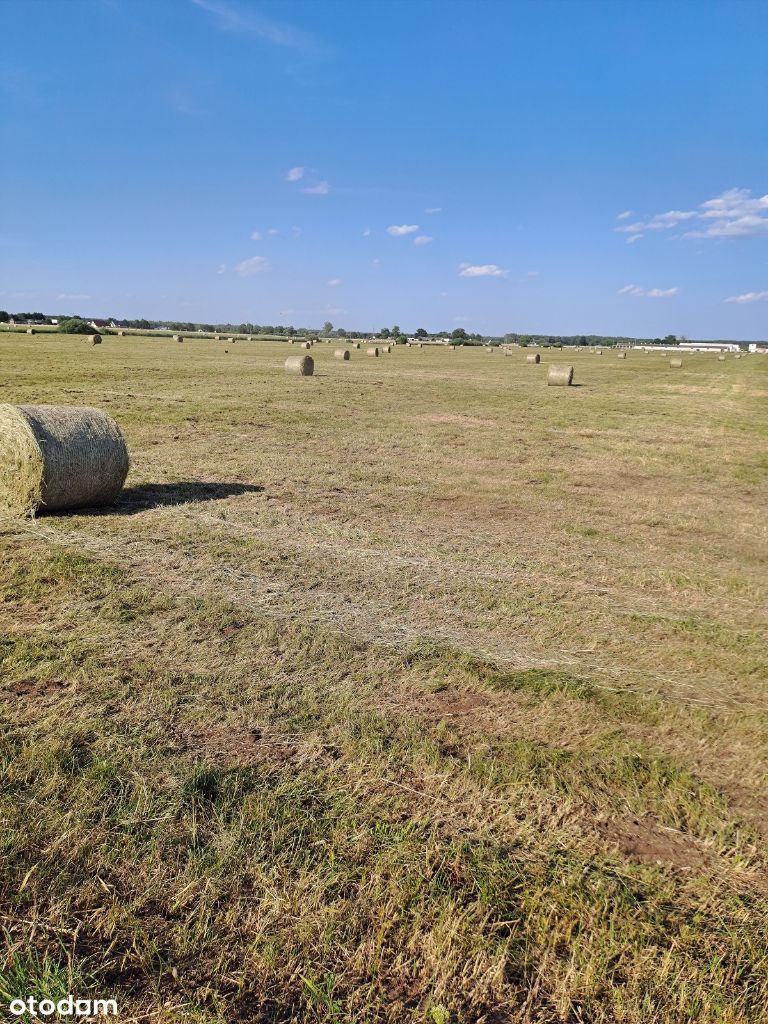 Działki Nowe Dąbie 1,5km od Przyłęk