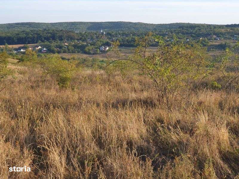 Teren de vanzare, 16 €/mp - Imagine principală: 4/6