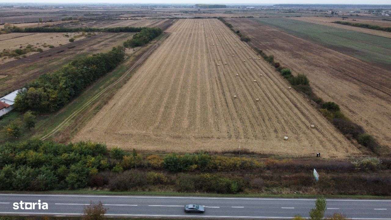 Teren intravilan industrial 11 hectare cu utilitati Botizului - Imagine principală: 3/4