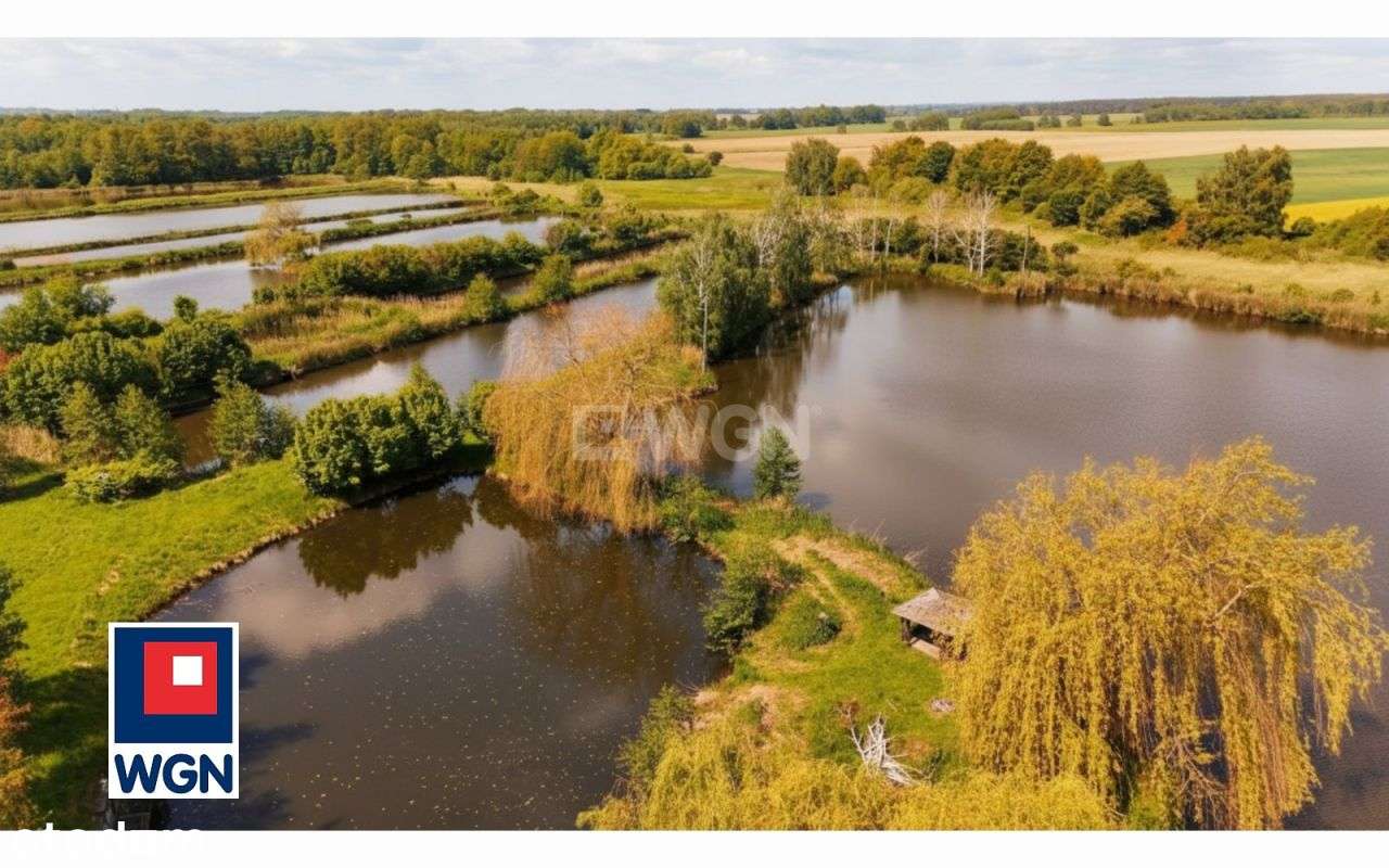 Stawy Łowisko komercyjne z domem Sokołowice-5