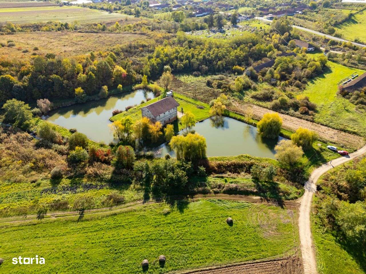 Moara de vanzare in Aldesti - Imagine principală: 4/18